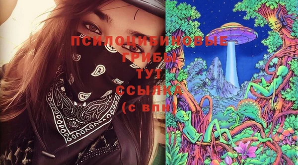 мдпв Абинск